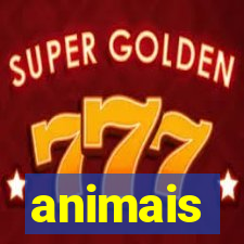 animais-pg.com