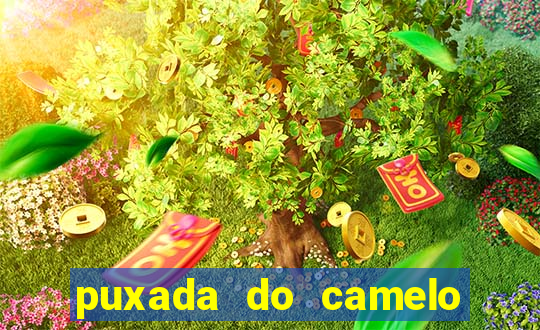 puxada do camelo no jogo do bicho