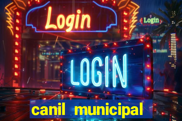 canil municipal porto alegre