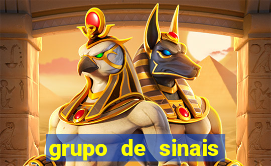 grupo de sinais fortune rabbit