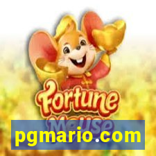 pgmario.com