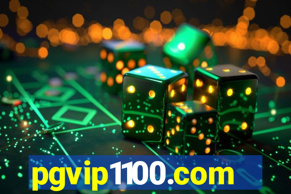 pgvip1100.com