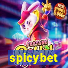 spicybet-4.com