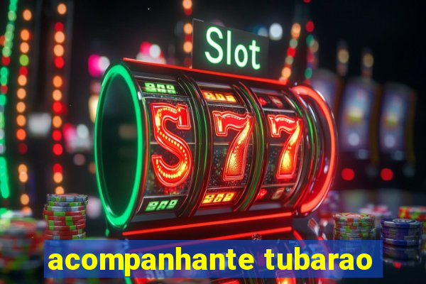 acompanhante tubarao