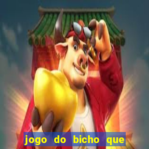 jogo do bicho que paga no pix