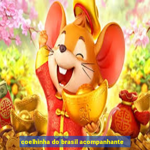 coelhinha do brasil acompanhante