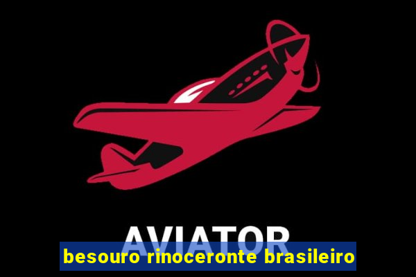 besouro rinoceronte brasileiro