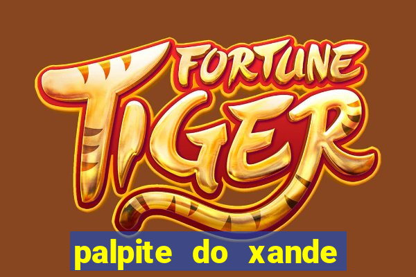 palpite do xande de hoje