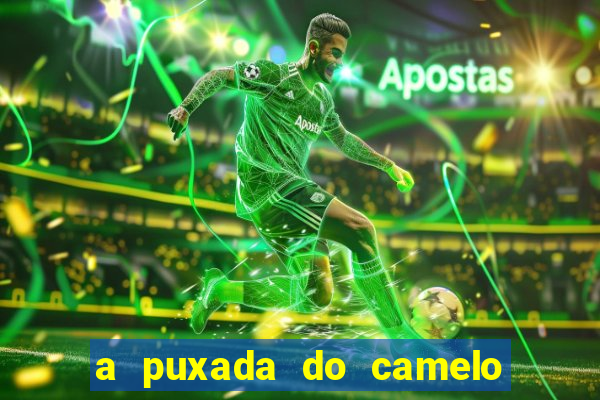 a puxada do camelo no jogo do bicho