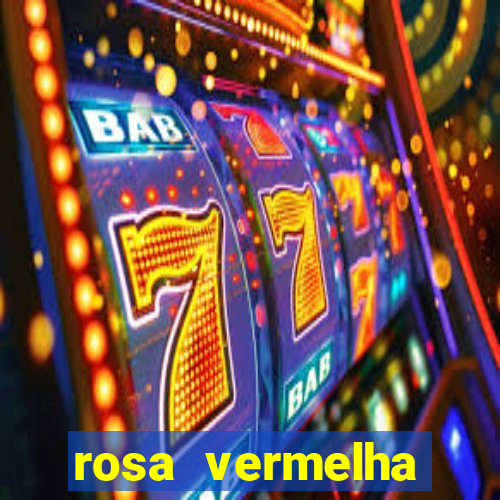 rosa vermelha (letra e cifra)