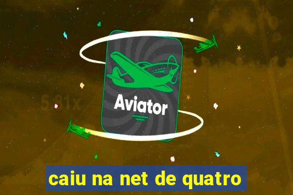 caiu na net de quatro