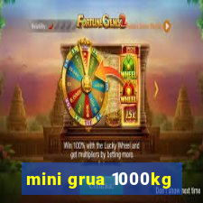 mini grua 1000kg