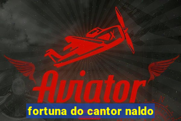 fortuna do cantor naldo